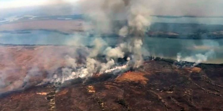 Incêndios atingem mais de 6 mil hectares na Chapada dos Guimarães em MT