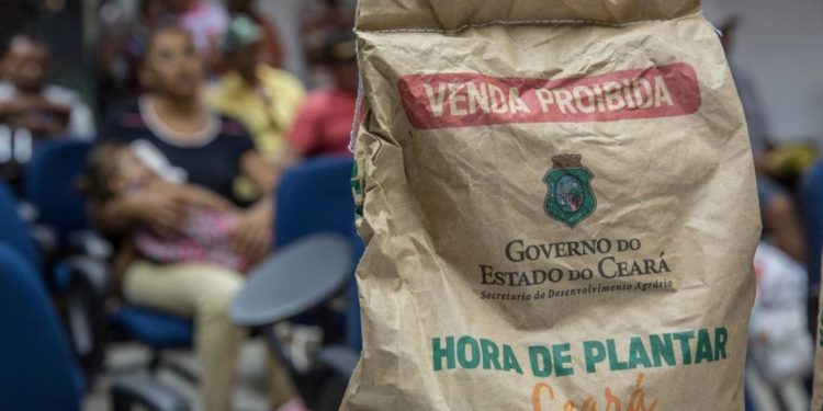 Sementes do Programa Hora de Plantar começam a ser distribuídas nesta quinta-feira (19)