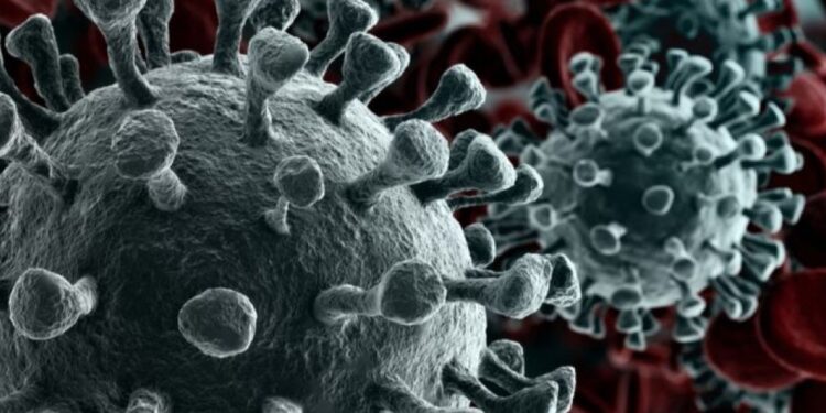 Juazeiro do Norte ultrapassa a marca dos 400 infectados pelo novo coronavírus