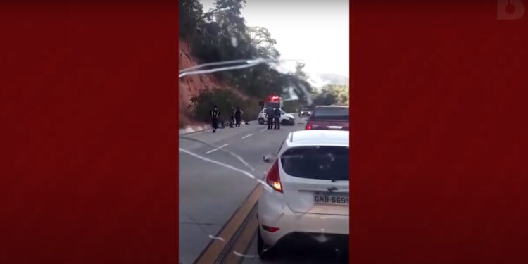 Ataque de marimbondos causa acidente de trânsito em Crato; assista