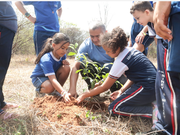 Parque Ecológico é arborizado com mais 30 árvores nativas